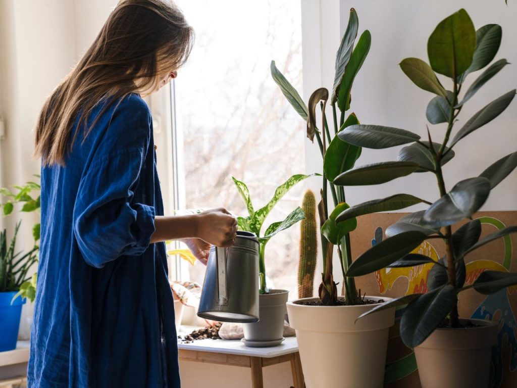 mulher-dando-agua-as-plantas