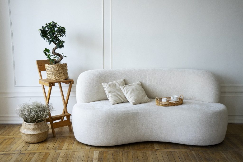 sofa-organico